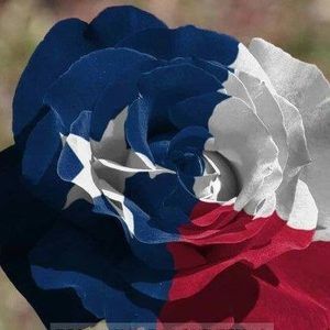 Meet your Posher, Sandy